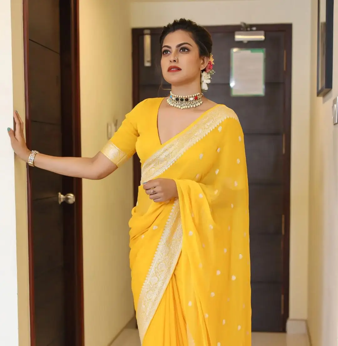 Anusree Nair Wearing Beautiful Earrings Jewellery Yellow Saree Blouse